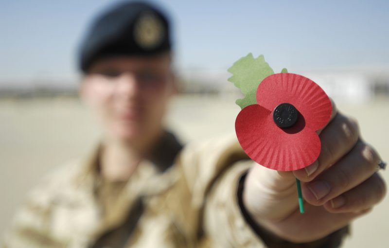 Soldier holds a Remembrance poppy