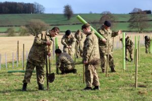 Cadets planting trees