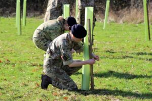 Cadets securing new saplings
