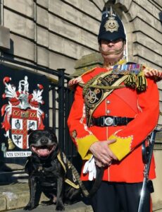 Watchman V with his handler