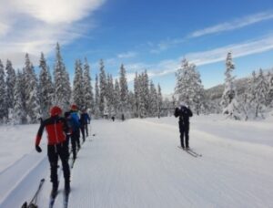 Ski competition training.